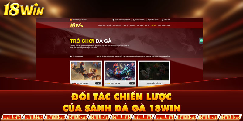 Đối tác chiến lược của sảnh đá gà 18WIN